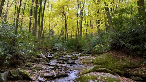 retiro aéreo rápido sobre goshen creek cerca de boone y blowing rock nc, carolina del norte en otoño con el color de las hojas de otoño y el follaje de otoño