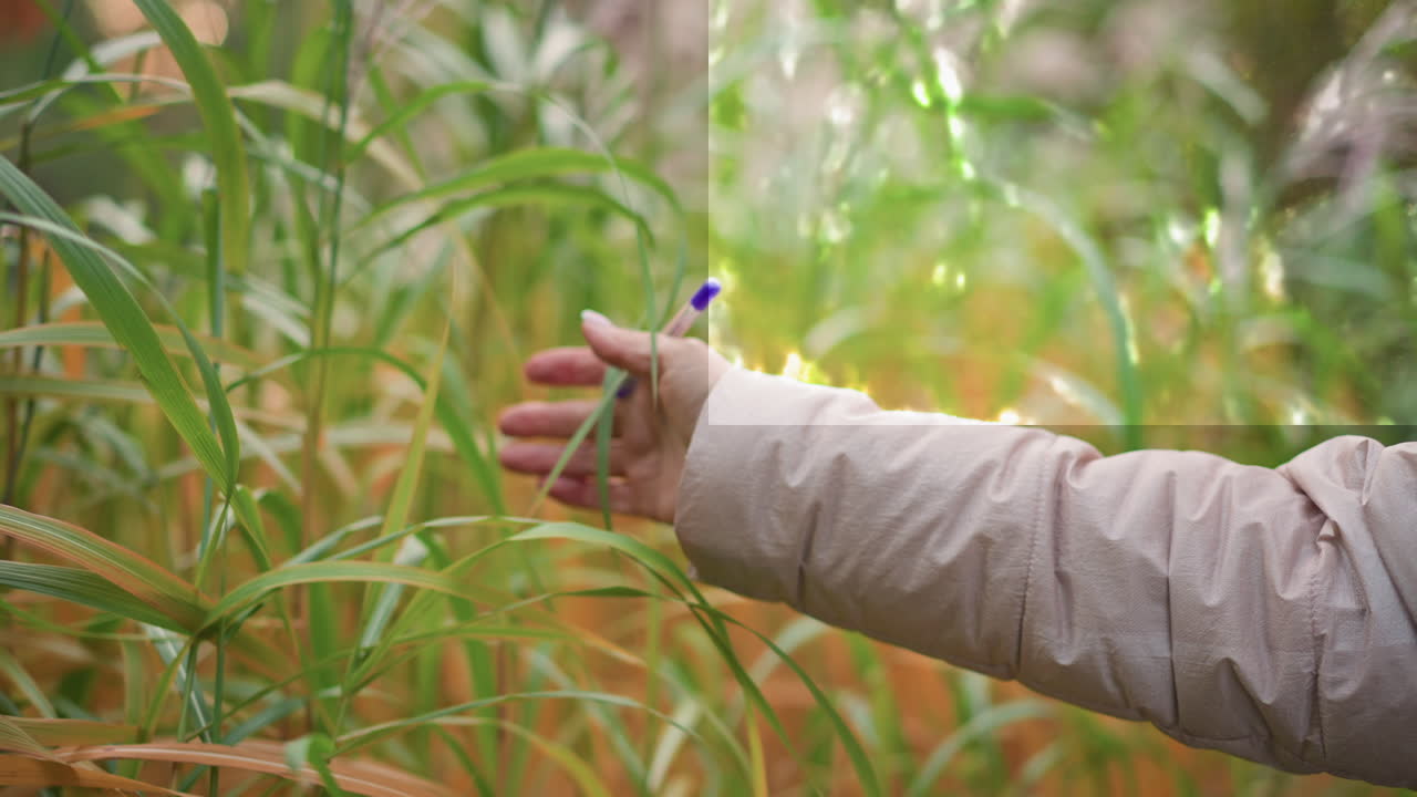 closeup of outstretched hand brushing through tall green grass in autumn, holding pen while sunlight creates glowing square reflection across foliage