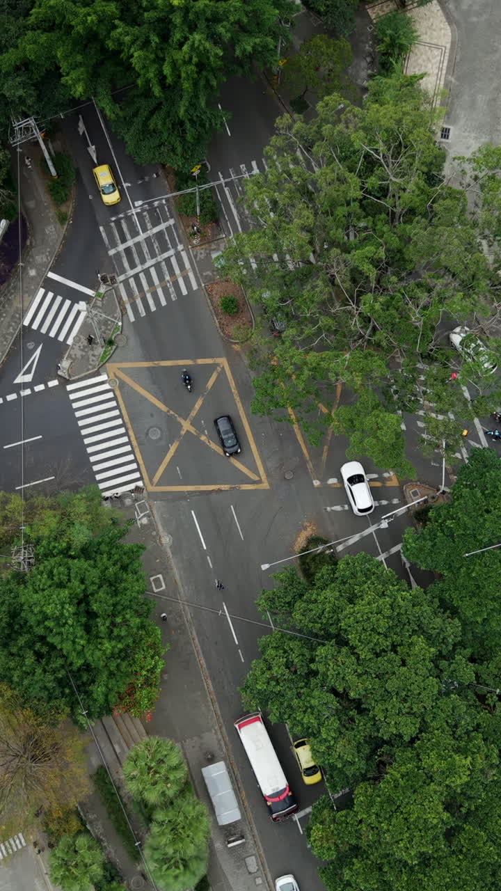 Drone captures bustling El Poblado intersection, Medellin, showcasing urban design amid lush greenery. Perfect vertical video for social media. Discover Colombia's vibrant city life