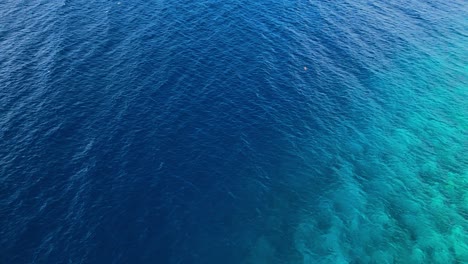 Fragata-Y-Piquero-Marrón-Se-Elevan-En-La-Zona-De-Descenso-De-Arrecifes-De-Coral-En-El-Agua-Celestial