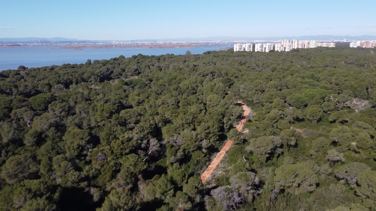 4K Drone View Over Albufera Forest, Dirt Path, Water, and Buildings in Valencia, Spain