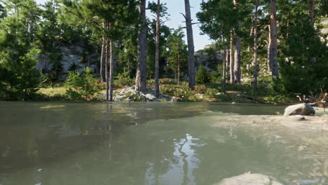 blue water in a forest lake with pine trees