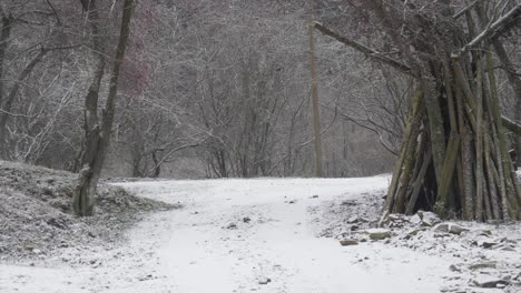 alley in valea doftanei in romania with fallen and lean trees and logs, blizzard in winter.