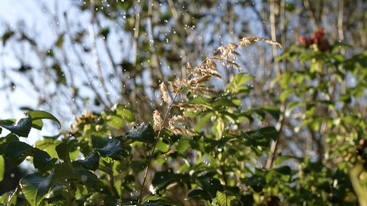 ⁇ 방울이 슈퍼 슬로우 모션으로 떨어집니다.