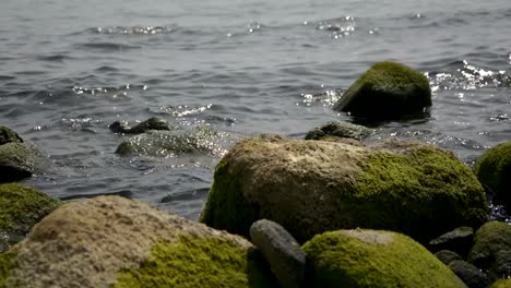 The-shores-of-Galilee,-Israel