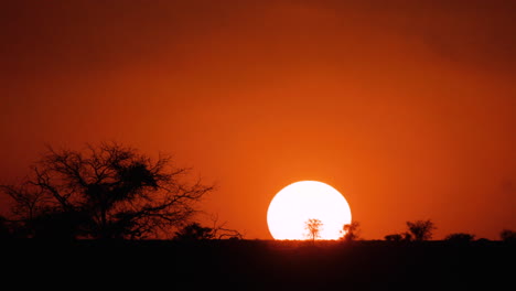 time lapse of sunset in african bushland