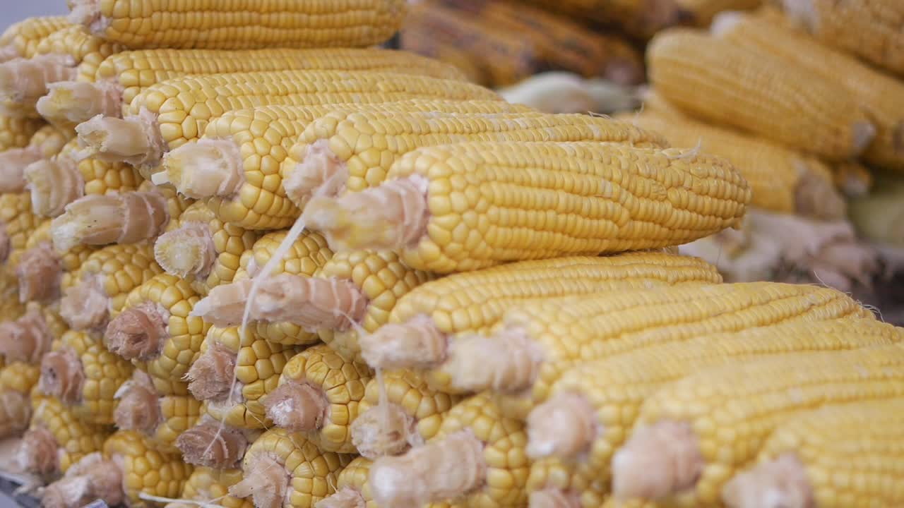 Stacked Fresh Corn at a Market