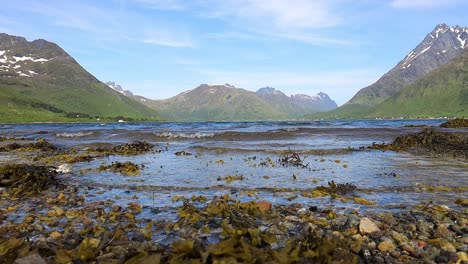 hermosa naturaleza de las islas noruegas de lofoten