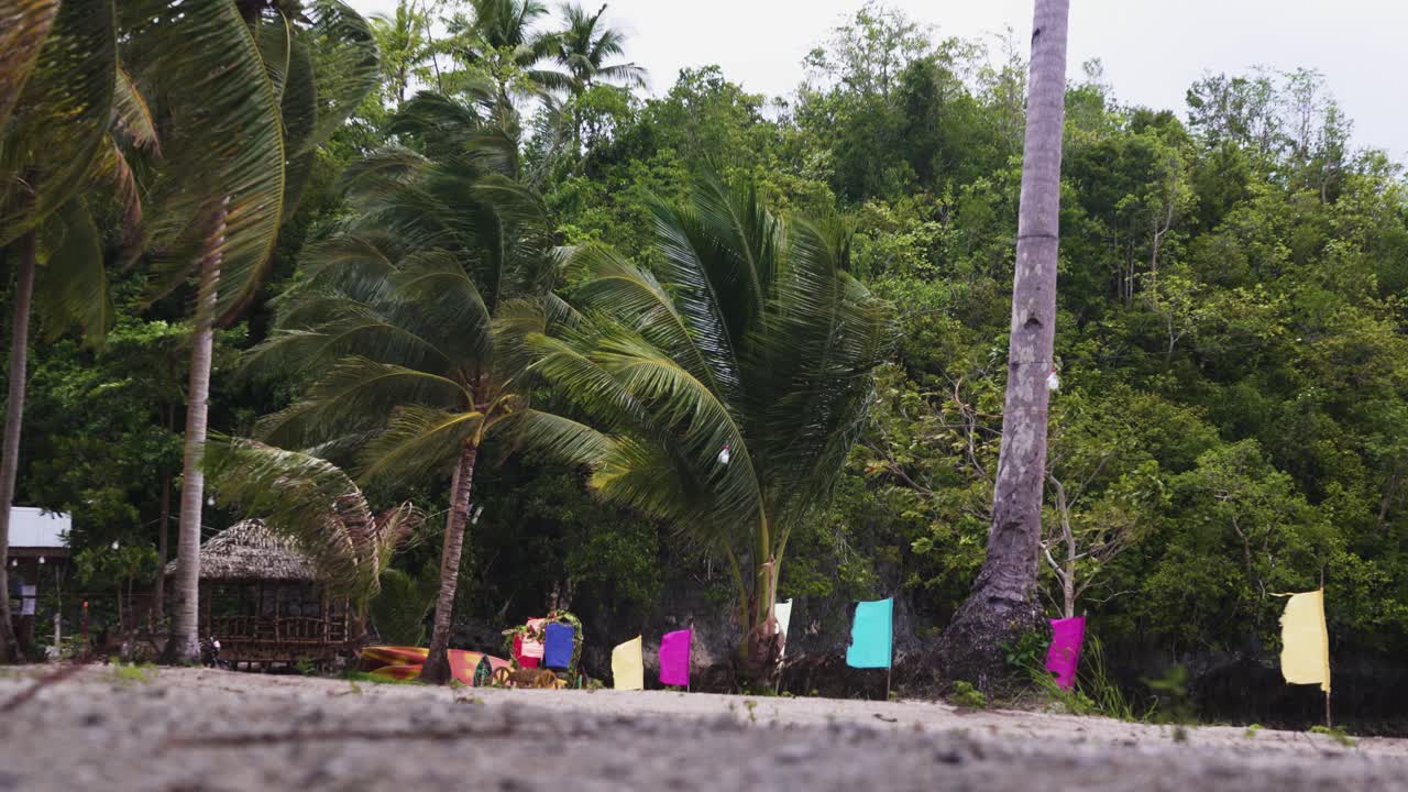 viento fresco que sopla en la playa con cocoteros y empavesados multicolores en filipinas