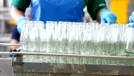 production of drinking water and beverages at factory. bottling of herbal drink in glass bottles.