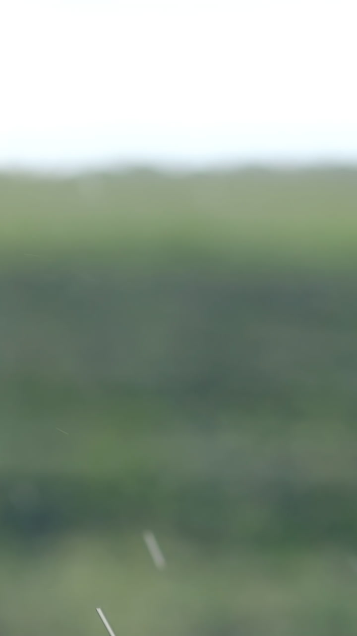 Blurred Field Landscape with Debris