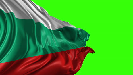 bulgarian flag on green background