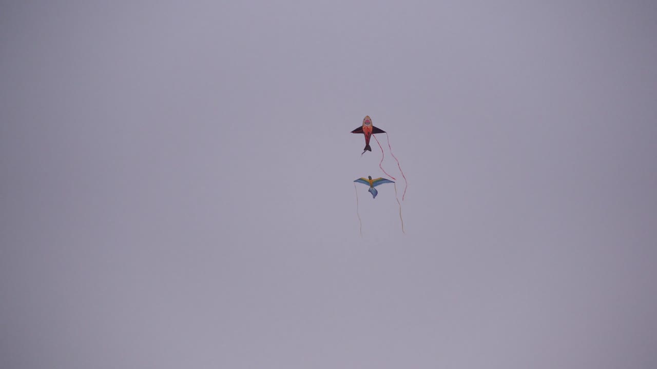 Kites flying through the air in the windy sky during dusk