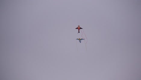 kites flying through the air in the windy sky during dusk