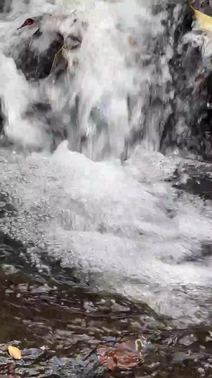 Piccola cascata che scorre sulle rocce in una foresta