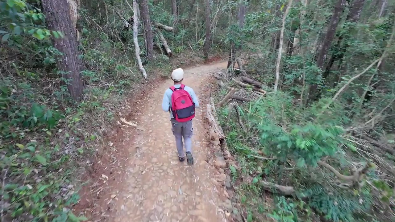 Tomada de drone em câmera lenta, acompanhando por trás um homem com mochila vermelha correndo em uma trilha de paralelepípedos em uma exuberante floresta de pinheiros. Conceito de aventura na natureza ao ar livre e estilo de vida fitness
