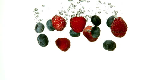 berries falling in water on white background