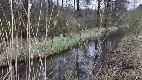 Blick-Auf-Einen-Schmalen-Kanal,-Der-Durch-Dichten-Wald-Führt