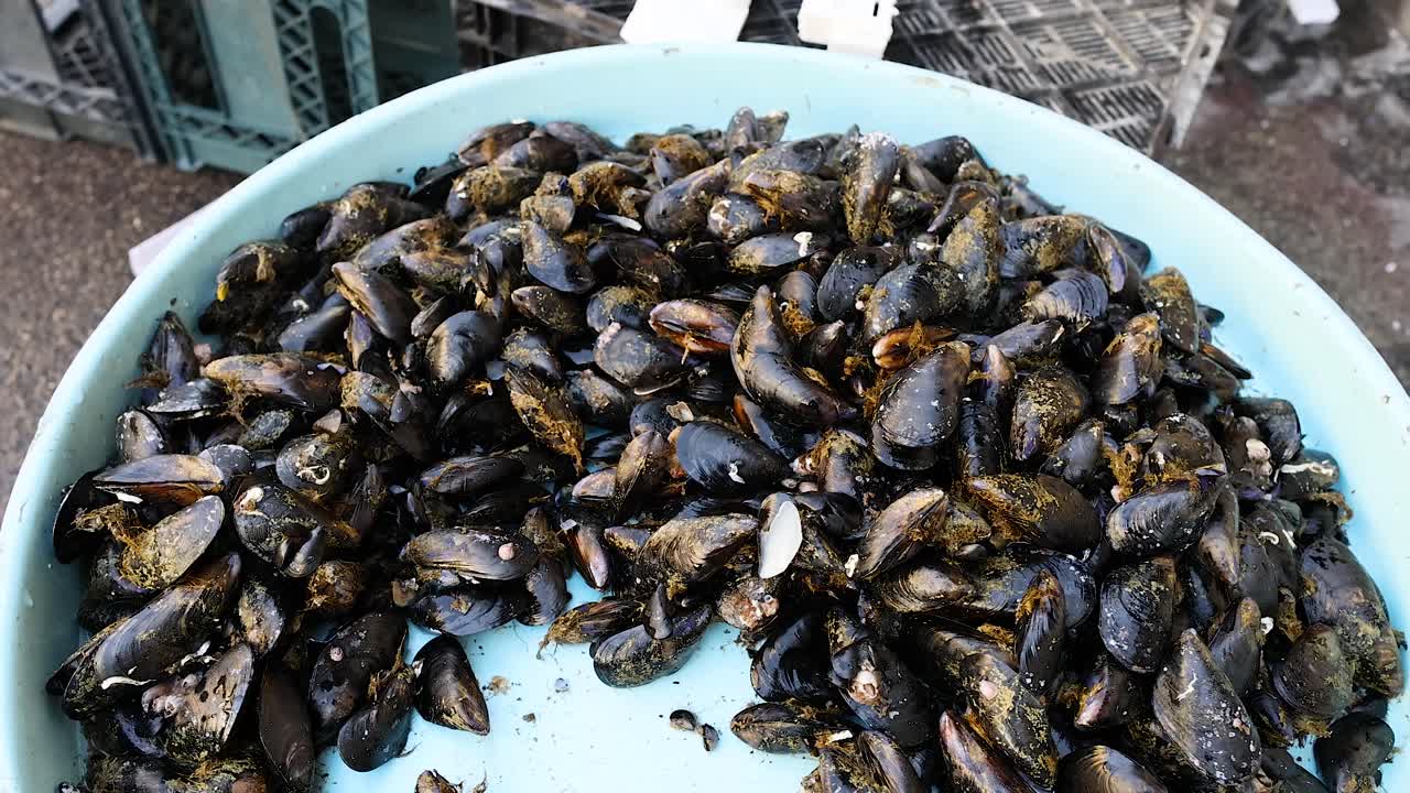 un cuenco de mejillones en preparación