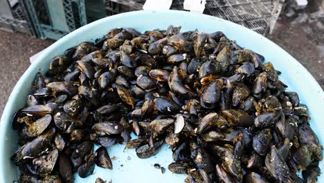 a bowl of mussels being prepared