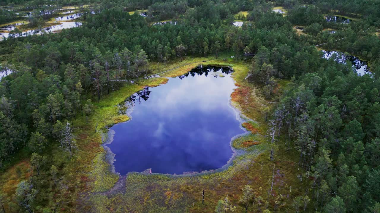 In autumn Viru Bog becomes a striking view with moss shining in rich tones and pine trees scattered across the wetlands near bog lakes reflecting the quiet northern sky