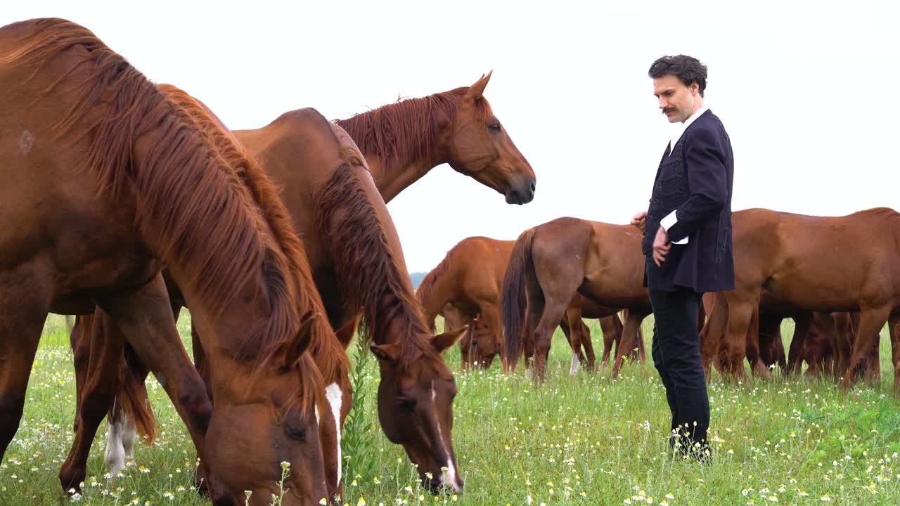 el poeta húngaro, sandor petofi