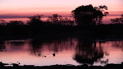 sunset over waterhole in the wilderness. static