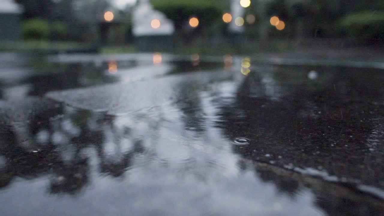 In a raining day the water looks beautiful falling into the Floor and trees in the back
