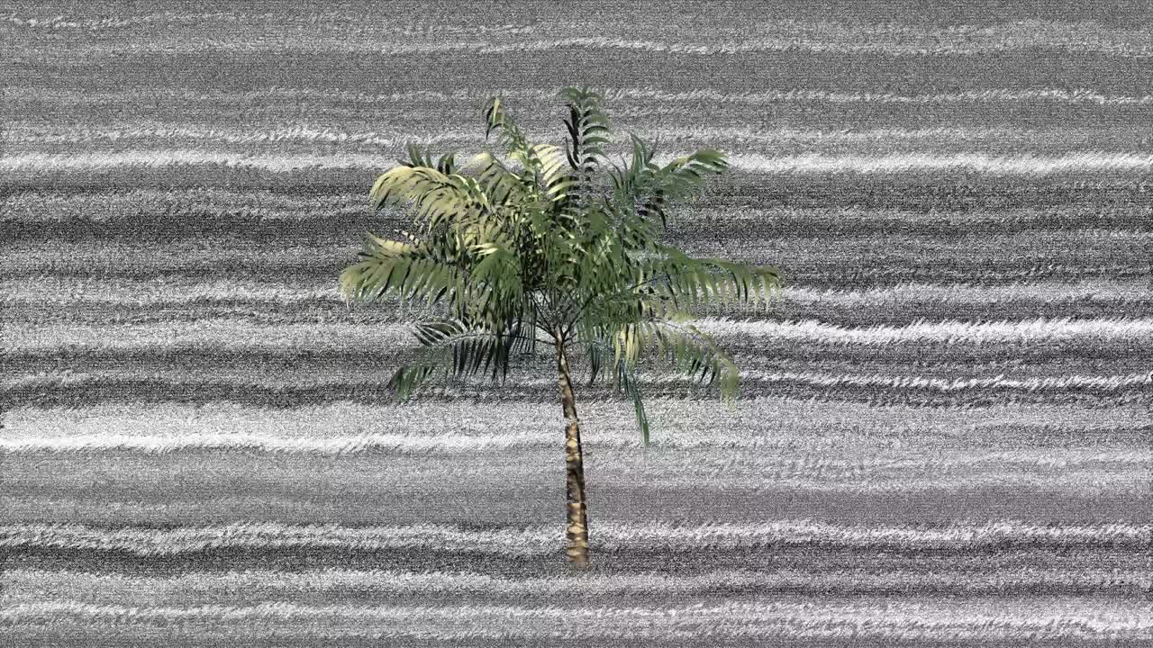 ⁇ 나무와 정적