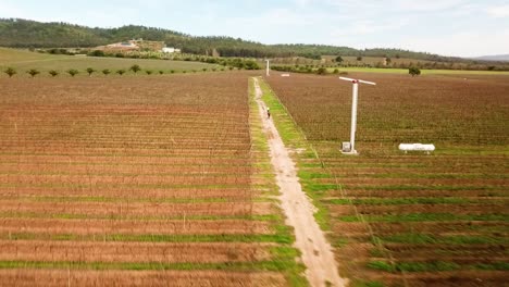 drone filmando ciclistas en figura 8 sobre viñedos chilenos