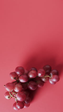 vertical video of red grapes with copy space on red background