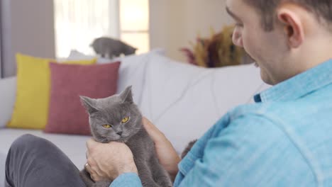 the man holds a gray cat in his arms and caresses it, loves it.