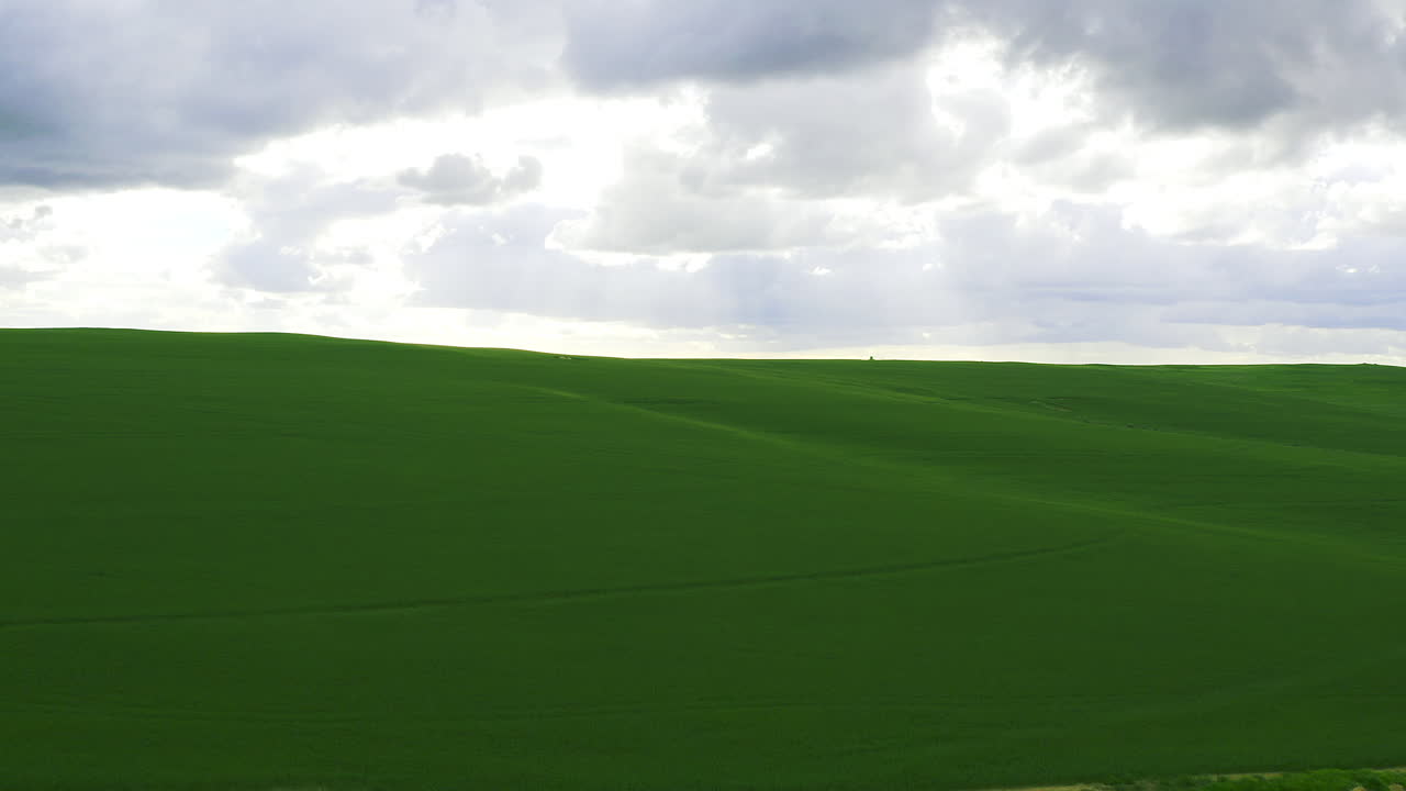 It's hard not to fall in love with nature