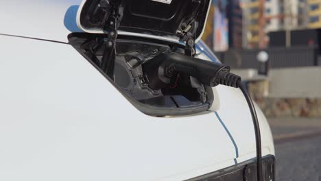 un conductor masculino conecta el coche eléctrico al sistema de energía para cargar la batería del coche