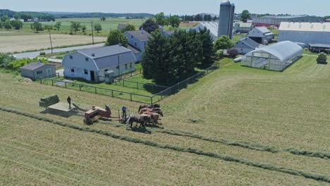 una veduta aerea di un contadino amish con cinque cavalli che raccolgono i suoi raccolti e li caricano su un carro che guarda la campagna in una bella giornata