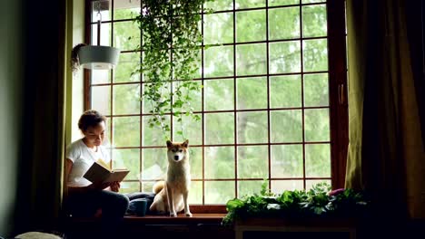 pretty young woman is reading book sitting on windowsill and looking outside together with cute pedigree dog. beautiful green plants, modern interior and curtains are visible.