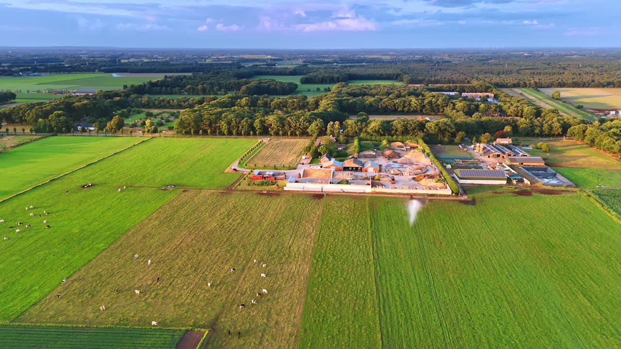 Dairy farm in green fields. Dairy farm with grazing cows surrounded by lush green fields under a clear blue sky during the late afternoon
