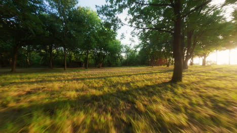 cinematic aerial drone footage gliding through a forest at golden hour. dreamy, tranquil atmosphere ideal for nature and travel