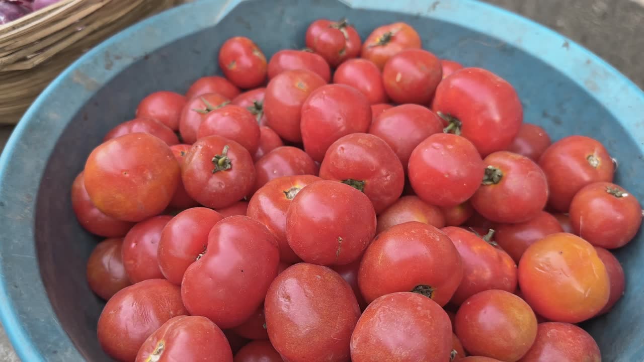 locally grown tomatos for sale in india at the vegetable market or farmers market