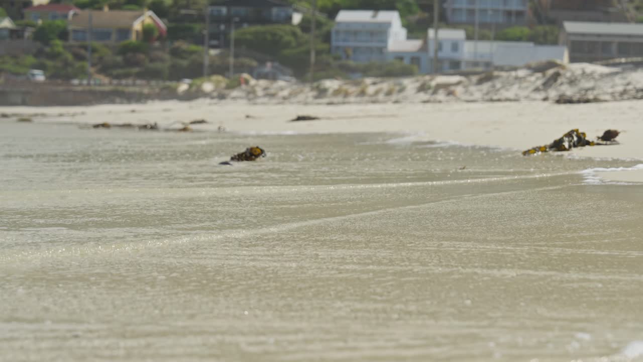 케이프타운 근처의 글렌케이른 해변에 부 ⁇ 히는 느린 움직임의 파도
