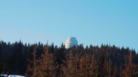 observatoire surplombant une forêt de pins, contre un ciel bleu