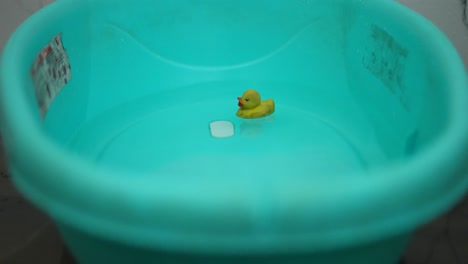 baby bath tub with water and yellow rubber duck floating on water