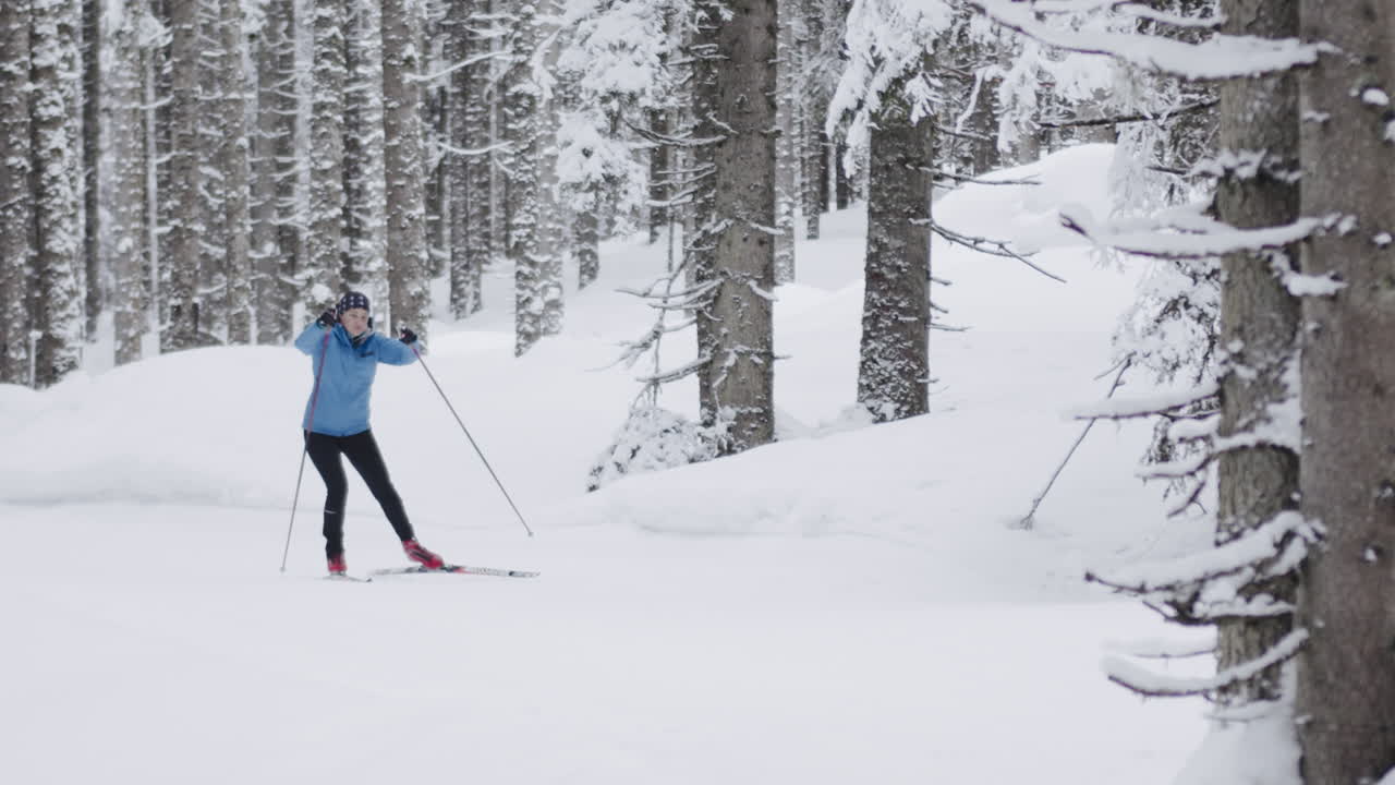 Sci di fondo in una foresta innevata