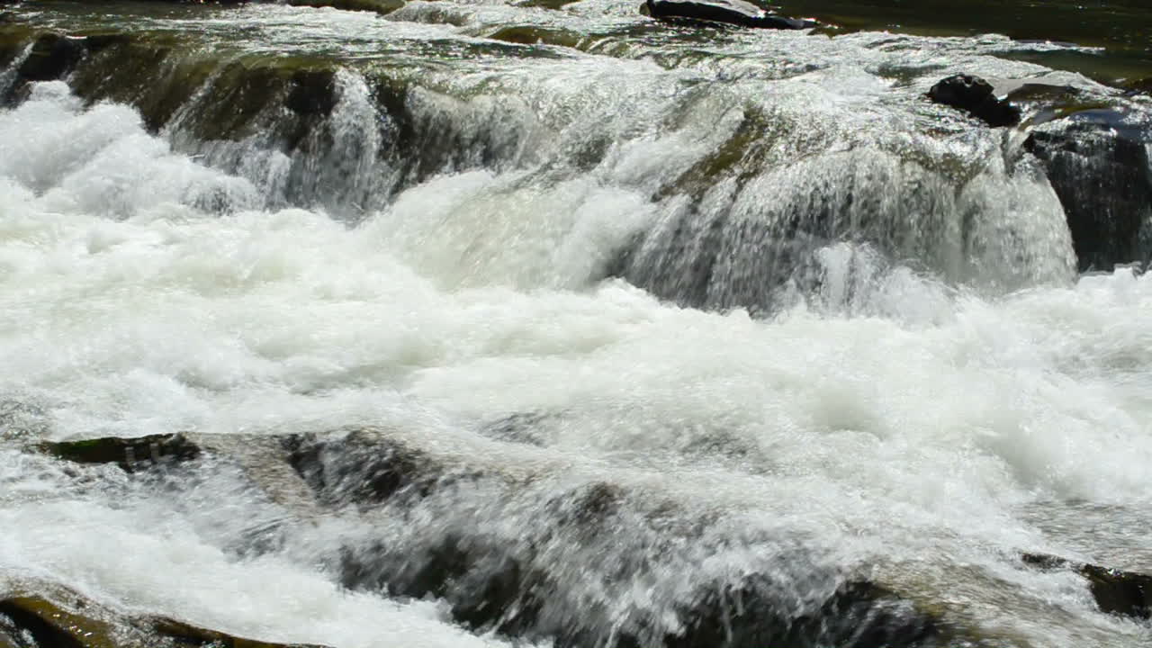 Optagelse om sommeren. Slowmotion. Bjergflod og sten.