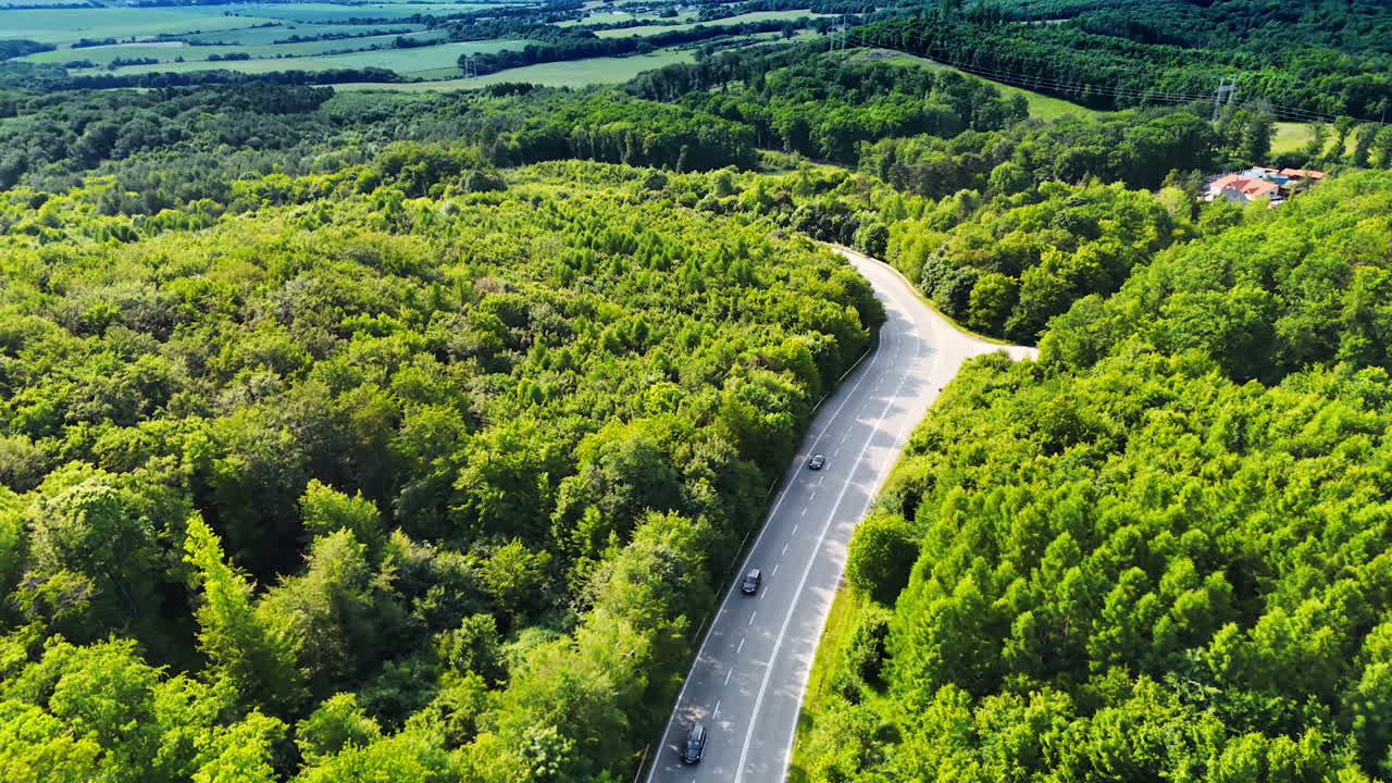 Winding road in lush forest. Cars travel along a winding road surrounded by vibrant trees under a clear blue sky during daytime
