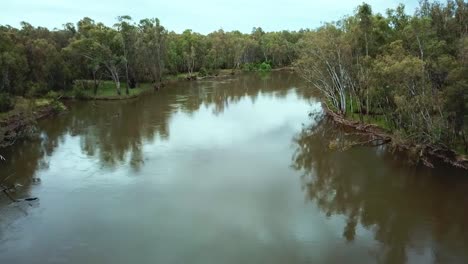 sideways aerial footage of the murray river and eucalypt forest north of corowa, australia