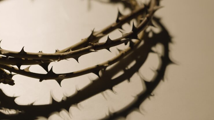 Religious Concept Shot With Close Up Of Crown Of Thorns On Altar In Pool Of Light 4