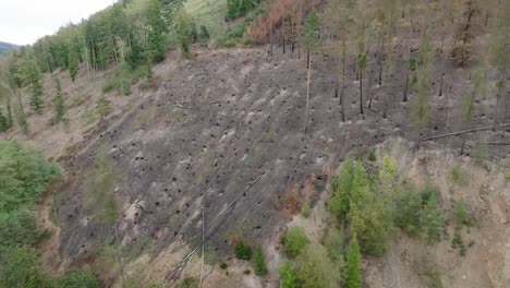 aerial view of a burned forest with charred hillsides and felled trees. the stark landscape reveals the devastating aftermath of a wildfire, showcasing the destruction and impact on nature.
