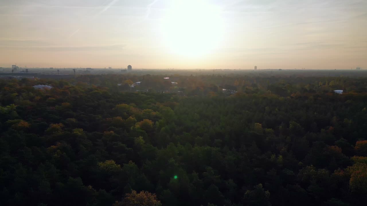 温带宽叶森林和混合森林