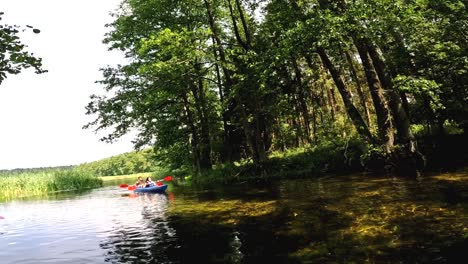 Kajaks-Auf-Einem-Fluss-Zwischen-Bäumen